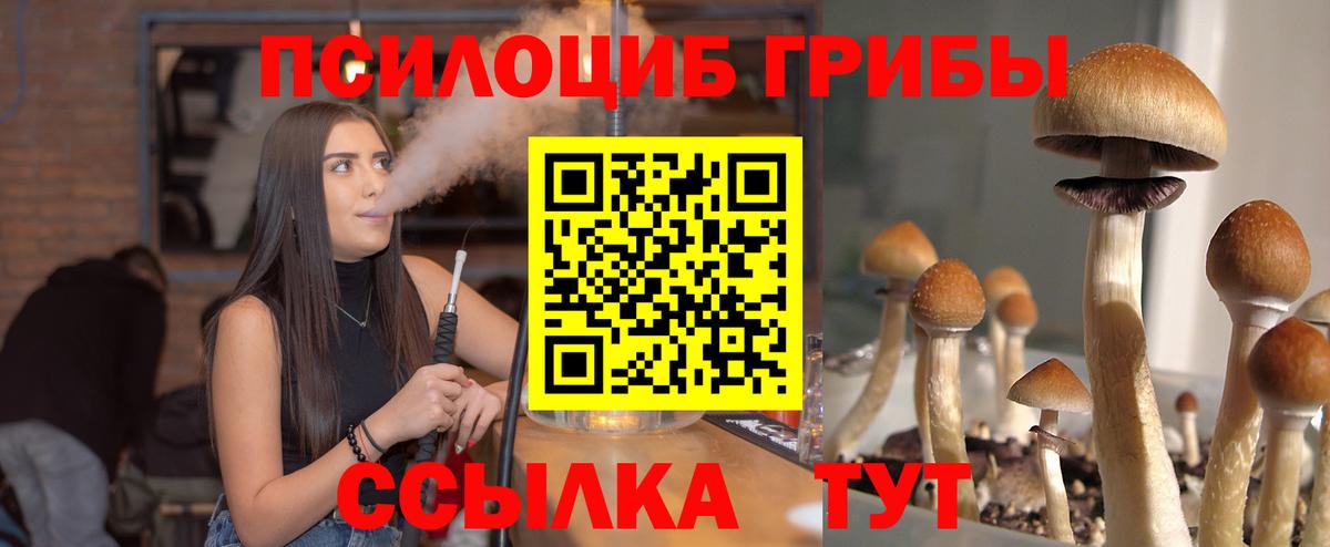 A-PVP Югорск