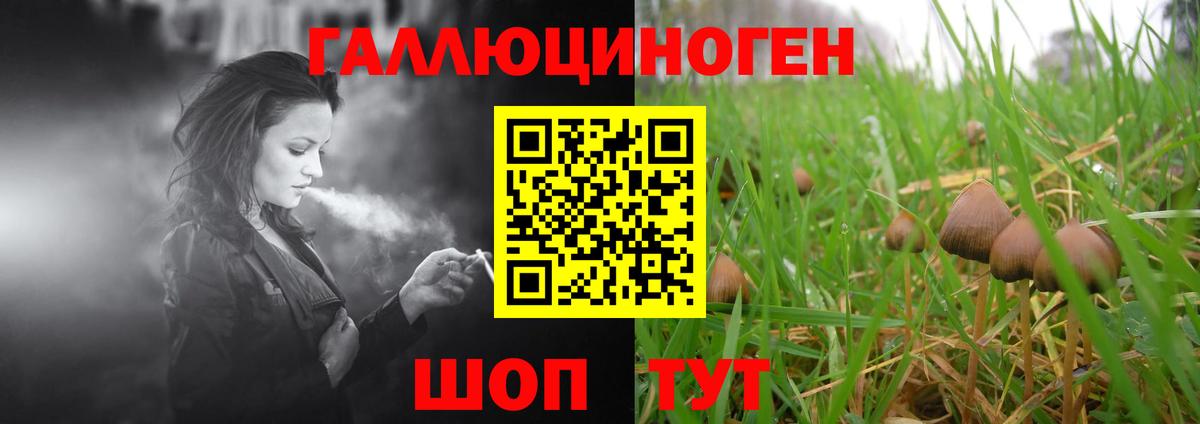 Псилоцибиновые грибы Psilocybe Югорск